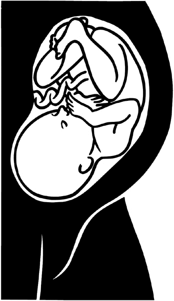 Baby in womb vinyl sticker. Customize on line.      Children 020-0166  